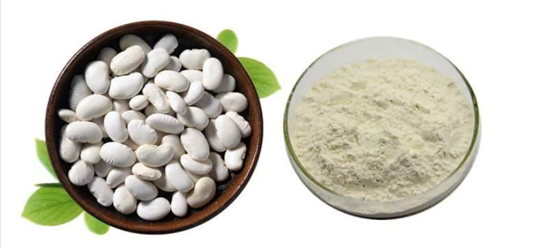 White Kidney Bean Extract Powder