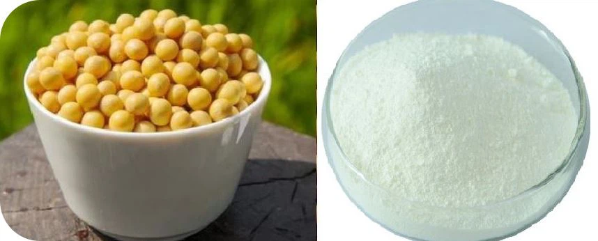 Phytosterol Granule Phytosterol Granule