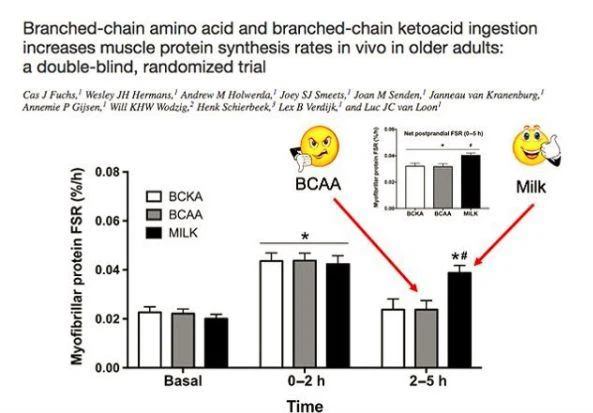 BCAA is not as good as intact protein