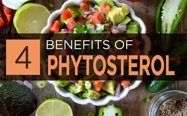 Phytosterol Phytosterol
