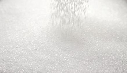 Erythritol powder