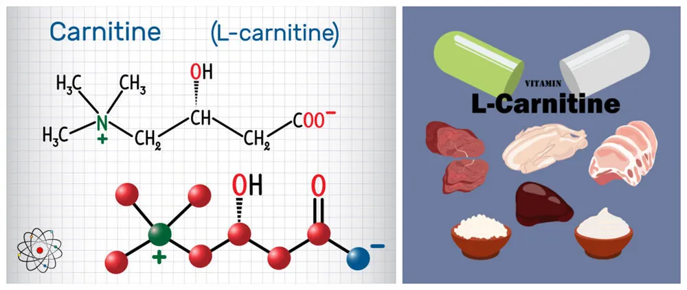 istockphoto-1007420028-612x612