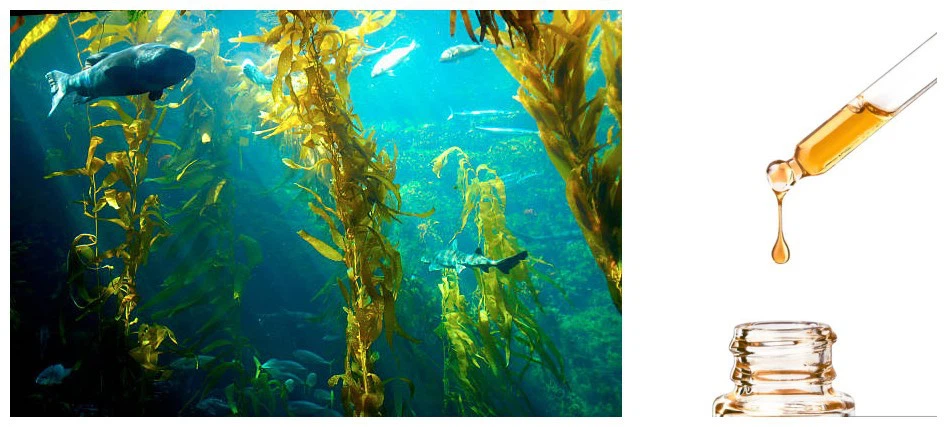 istockphoto-90628025-612x612