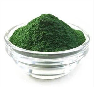 Spirulina Proteinový prášek