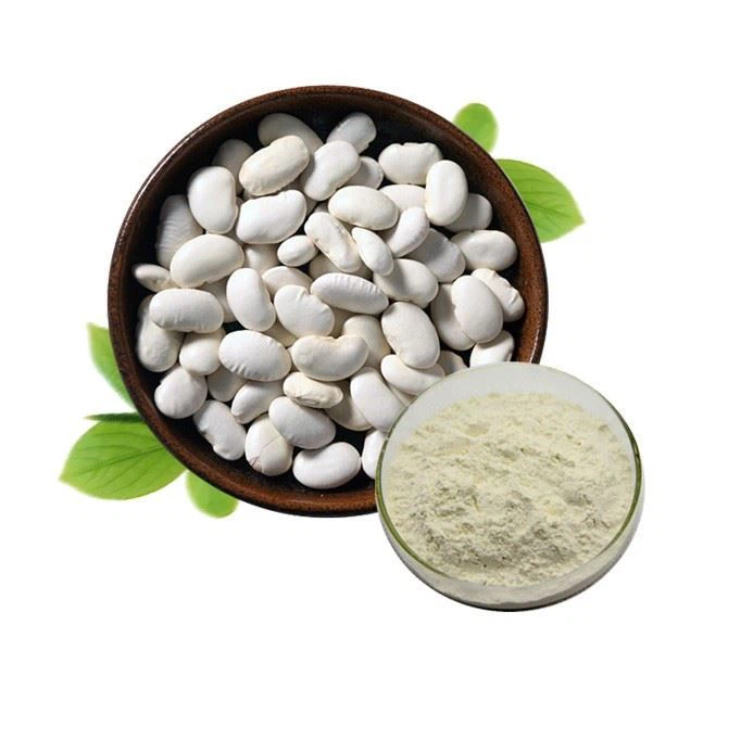 White Kidney Beans Extract Powder