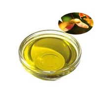 Olej ze semen Acer Trunctum