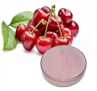 Višňový extrakt v prášku