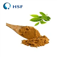 Čajový polyfenolový prášek